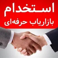 استخدام ویزیتور
