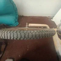 دوچرخه ۲۰|دوچرخه، اسکیت، اسکوتر|گلبهار, نوبهار|دیوار