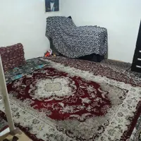اجاره خانه ویلایی ۵۰ متری ۱ خوابه در شهادت|اجارهٔ خانه و ویلا|تهران, شهادت|دیوار