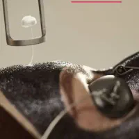 لیزر موهای زائد به مدت محدود فول ۴۹۰|خدمات آرایشگری و زیبایی|ارومیه, |دیوار