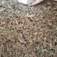 پونه کیلویی ۲۰۰ تومن