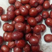 عناب|خوردنی و آشامیدنی|بیرجند, |دیوار