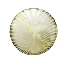دف پوستی طاووسی