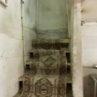 واحد-رایگان