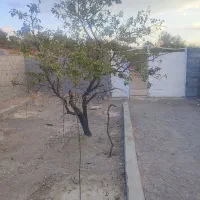 فروش باغ دراسکو|فروش خانه و ویلا|اسکو, |دیوار