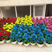 گل مصنوعی روز مادر|گل مصنوعی|قم, نیروگاه|دیوار