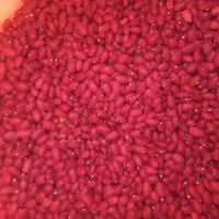 لوبیا قرمز مستقیم از کشاورز برای بذر هم عالی است|خوردنی و آشامیدنی|آوج, |دیوار