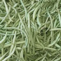 لوبیا سبز بومی،غوره عسگری ،کدو بومی|خوردنی و آشامیدنی|اصفهان, هزارجریب|دیوار