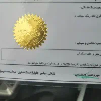 فروش|خودرو سواری و وانت|گرگان, |دیوار
