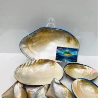 فروش انواع صدف و دکوری های صدفی|صنایع دستی و سایر لوازم تزئینی|قشم, |دیوار