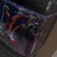 فروش آکواریوم با دکور طبیعی