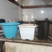 سه عدد گلدان سایز بزرگ قیمت عالی