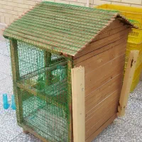 قفس پرنده|لوازم جانبی حیوانات|بم, |دیوار