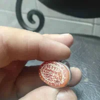 خط‌پیازی‌پنج‌تن‌کهنه