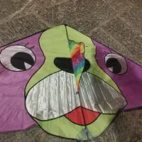 بادبادک نقش جهان|اسباب‌‌بازی|اصفهان, سرتاوه|دیوار