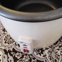 پلوپز آرام پز بخار پز