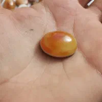 سنگ باباقوری معدنی (سه پوست)|جواهرات|زابل, |دیوار