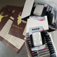 شمش نقره ندیر