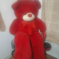 شاسخین فقط یک نیم