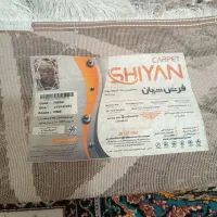 فرش|فرش|اهواز, کوی سعدی|دیوار