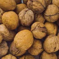 توت خشک و گردو درجه یک|خوردنی و آشامیدنی|قمصر, |دیوار