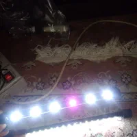 دو عدد لامپ آکواریم