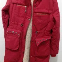 پالتو خزدار