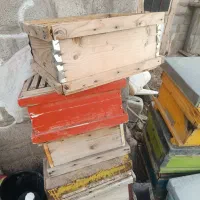 کندوی زنبور عسل و طبق