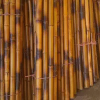 بامبو و عصا لوله‌‌. سند پلاست شده معمولی