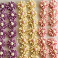 هدیه روز دانش آموز|بدلیجات|زاهدان, |دیوار