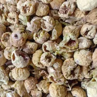 پرنده خورده انجیر