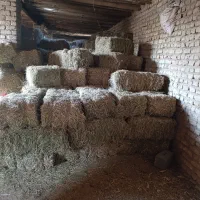 یک تن پرس یونجه موجود است