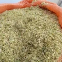 کاه لوبیا چیتی سبز سبز