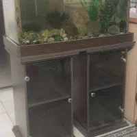 آکواریوم ۹۰ در ۵۵ با تمام لوازم و ماهی