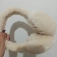 گوش گیر زمستونی