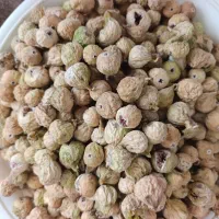 انجیر سفید سال  استهباناتی
