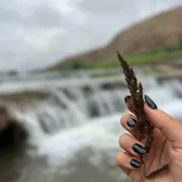 کاشت ناخن و کاشت مژه