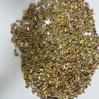 مغز سبز امسالی