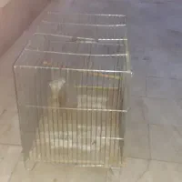 قفس بزرگ پرنده