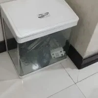 آکواریوم