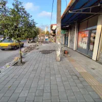 مجری موزاییک پرسی