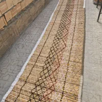 دو عدد چیت نو|گلیم، جاجیم، گبه|ایلام, |دیوار