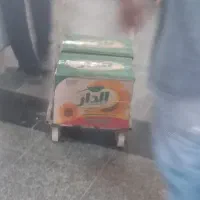 روغن الدار و گردو کاغذی و تخم