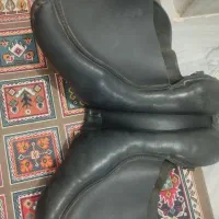 زین دهنه|اسب و تجهیزات اسبسواری|حمیدیا, |دیوار