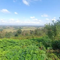 زمین ۲۰۰ متری لاهیجان چسبیده به بافت مسکونی|فروش زمین و ملک کلنگی|لاهیجان, آهندان|دیوار