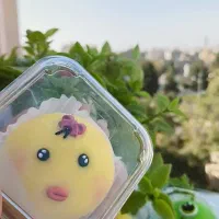 راه اندازی کارگاه موچی