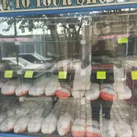 وسایل مرغ ماهی|فروشگاه و مغازه|کرمان, |دیوار