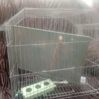 قفس پرنده وجا قابلمه وسینگ وروکش ماشین|لوازم جانبی حیوانات|خرمشهر, |دیوار