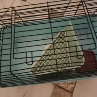 قفس خرگوش