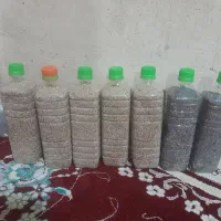 بذز کشاورزی|گل و گیاه طبیعی|کوهدشت, |دیوار